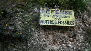 poupougne a deux roues sainte croix du mont