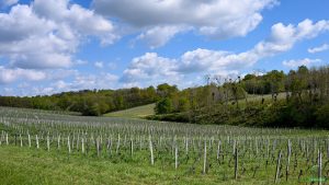 poupougne a deux roues sainte croix du mont