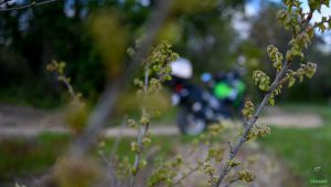 poupougne a deux roues sainte croix du mont