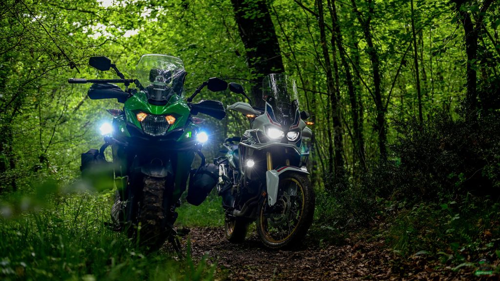 TET TotoLeTouGro Poupougneadeuxroues