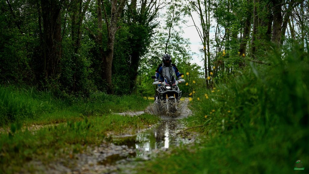 TET TotoLeTouGro Poupougneadeuxroues