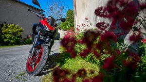 Kawasaki Z Poupougne a deux roues